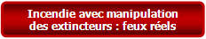 Feux rels